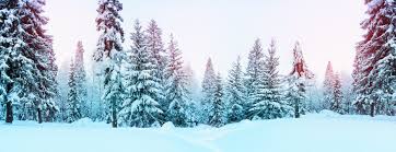 Snow Forest Stock Photos And Royalty Free Images Vectors And Illustrations Adobe Stock Snow winter landscape with deers. snow forest stock photos and royalty