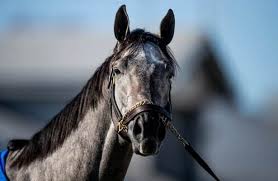 Here's some other horses and people to watch at th. Essential Quality Goes To Gate School Ahead Of Blue Grass
