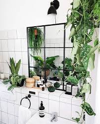 8 Beautiful Hanging Plants Perfect For Apartments Thefab20s Hanging Plants Indoor Hanging Plants Best Indoor Hanging Plants