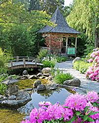 Lotos Garten