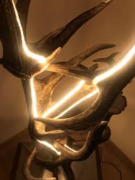 Design Stehlampe Aus Geweih Und Indirekter Led Beleuchtung Von Oh