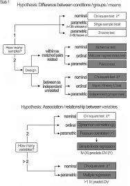 4b5f602b41598069ccd5767d279042ee Statistics Math Decision Tree Jpg 567 812 Data Science Learning Statistics Math Research Methods