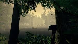Though you can press f1 to see if the console actually opens up. The Forest Cheats Guide For Ps4 And Pc Game News Gameplays Comparisons On Gammicks Com