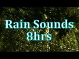 Sweet jazz and soft rain sounds. Mp3 Downloads Of Many Of My Videos At Http Www Texashighdef Net This Is 8hrs Of My Rain Videos Put Together Into One Sound Of Rain I Love Rain Love Rain