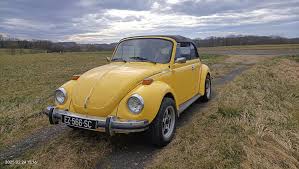 Image result for Rallye Yellow 1975 Volkswagen