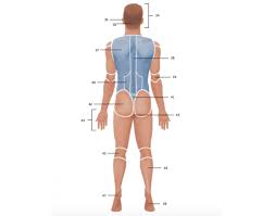 You can't even use flares chaffs or put on a livery, if you do there's an. Body Regions Back Quiz