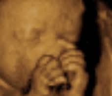 Api for business date calculators; You Are 26 Weeks And 6 Days Pregnant Familyeducation