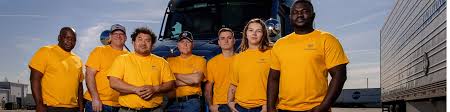 Image result for Safety Yellow 1995 Fleet