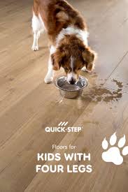 Floors For Pets In 2020 Quick Step Flooring Four Legged Pet Accidents