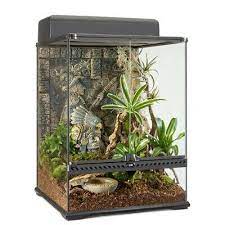 We did not find results for: Reptile Supplies Wxdxh Exo Terra Medium Wide Terrarium 24 X 18 X 18 Pet Supplies