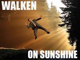 Walken On Sunshine Funny Puns Walken Funny Pictures