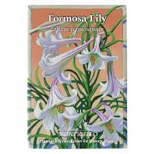 Image result for Lilium formosanum