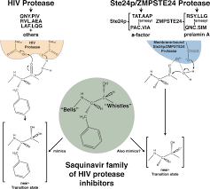 Protease inhibitors are generally used in these types of studies, and the type of inhibitor that should be used depends on the type of protease that needs to be inhibited. Hiv Protease Inhibitors And Nuclear Lamin Processing Getting The Right Bells And Whistles Pnas