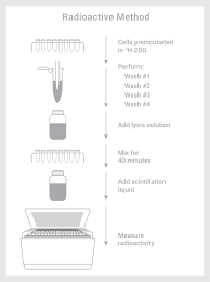 Инструкции аналоги заказ в аптеках. Glucose Uptake Glo Assay Glucose Uptake Assay Kit