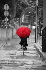 Black And White Pictures With Red Umbrella Lady Cyclist With A Red Umbrella Florence Italy Poster Zazzle Com Red Umbrella Umbrella Italy Poster