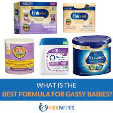 Best Formula For Gassy Babies Of 2020 Inner Parents