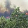 Severe Wildfires Rage Across Southern France, Forcing Thousands to Evacuate