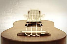 Coffee machine manufacturers uke strings identify definition. Ukulele String Names And How To Remember Them
