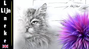 Cat drawing to illustrate technique on how to draw realistic hair and fur using pencil. Easy Fur For Beginners Graphite Pencil Drawing Youtube