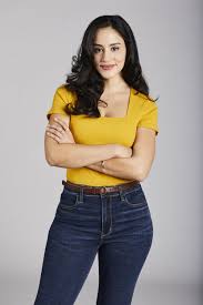 The spruce / diana chistruga at its heart, a pie is simply a dish made from pastry crus. Vanessa Sanchez The Baker And The Beauty Wiki Fandom