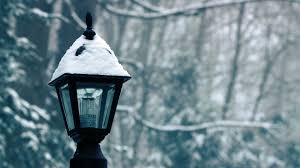 Check spelling or type a new query. Winter And Snow Wallpaper Pixelstalk Net