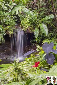 Best Tropical Garden Hotels Hotel Bougainvillea San Jose Costa Rica Small Tropical Gardens Tropical Garden Garden Waterfall