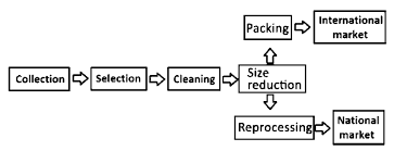 Flow Diagram Of The Plastic Recycling Industry In Peru