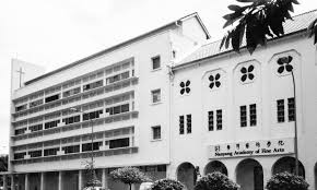 நன்யாங் அகாடமி ஆஃப் ஃபைன் ஆர்ட்ஸ்). History