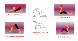 A complete guide for yoga practitioners & teachers. Sciatic Nerve Stretches To Relieve Sciatic Nerve Pain