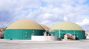 Viviana robba hard looks are absolutely out of this world,