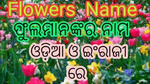 10 flowers name in english. Flowers Name Video In English And Odia With Picture For Children Lll à¬« à¬² à¬® à¬¨à¬™ à¬•à¬° à¬¨ à¬® Iiiiiiii Youtube