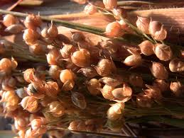 Recettes A Partir De Ragi Terra Millet