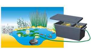 3 hal yang perlu diketahui sebelum membuat kolam renang di rumah. Fiberglass Fish Pond Filters Fishing Pools Decorative Ponds Buy Fiberglass Fish Pond High Quality Koi Pond Filter Pond Filter Media Product On Alibaba Com