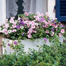 Ideen Fur Fenster Blumenkasten Originelle Vorstellungen Fensterbox Blumen Blumenkasten Blumenkasten Bepflanzen