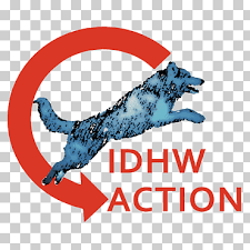 Med våra 300 000 medlemmar är vi en av landets största intresseföreningar. Dog Svenska Kennelklubben Kennel Club Logo Dog Dog Svenska Kennelklubben Kennel Club Png Klipartz