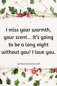 These messages might be short but will make her sleep happily knowing that her husband loves her. Romantic Good Night Love Messages To My Better Half Love Catalogue