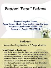 Maybe you would like to learn more about one of these? Handout Gangguan Fungsi Pankreas Ganjil 2013 2014 Pdf