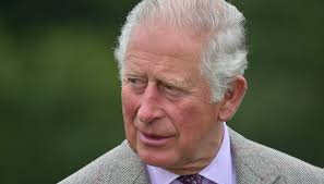 He had lived with a granddaughter of queen victoria, and he died nearly 100 years old in an era of smartphones and the internet. Prince Philip Is Hospitalized The Real Reason For Charles Visit Sexyst