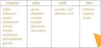 Mcat Prep 1 Gt Mcat Gt Flashcards Gt Orgo Lecture 4 Biochemistry Biochemistry Science Biology Flashcards