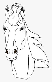 Como dibujar un caballo kawaii, imagenes para dibujar, dibujos faciles de animales kawaii chibi anime es el tema de nuestro vídeo de hoy, dibujo facil y exp. Cabeza De Un Caballo Para Dibujar Hd Png Download Kindpng