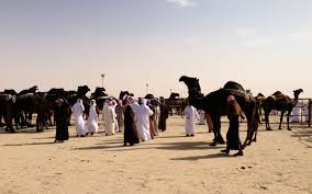 From arabian peninsula where the camel diversity is the most important (almathen et al., 2012) and confirmed. Where Can I Ride A Camel In Dubai Dubai Travel Planner