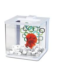 These realistic betta aquarium can be customized as gifts. Marina Ez Care Betta Aquarium White Pet In The City