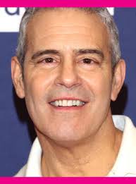 Amanda Seyfried's Struggles