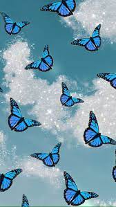 Aesthetic butterfly wallpapers top free aesthetic. Blue Butterfly Wallpaper Blue Butterfly Wallpaper Butterfly Wallpaper Iphone Butterfly Wallpaper