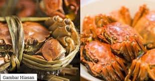 Ketam nipah fresh.en.suami trn kelaut beberapa hr yg lps dpt lah sekoq ketam nipah.alhamdulillah.khasiat ketam nipah. Mufti Wilayah Jelaskan Hukum Makan Ketam Bulu Penggemar Makanan Laut Wajib Tahu