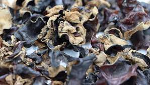 It is known for its extremely high iron content and has antioxidant potential. Salmonella Finding Prompts Recall Of Dried Imported Edible Fungus Food Safety News