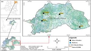 Image result for Leptonychia tokana