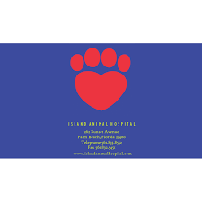 Ochstein for the educational i've trusted island animal hospital for 18 years to care for my family's pets. Island Animal Hospital Inc 262 Sunset Avenue Palm Beach Reviews And Appointments Topvet
