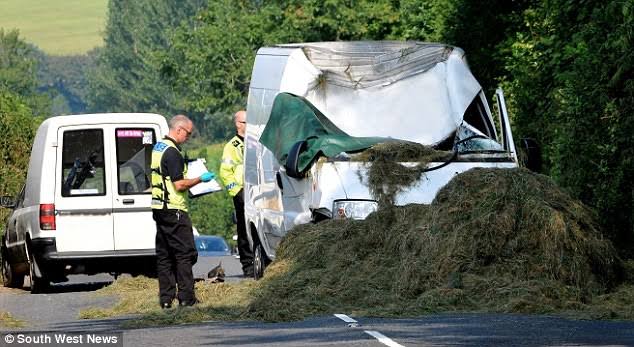 Mga resulta ng larawan para sa Mike Edwards, a cello player of ELO, killed by rolling 600kilogram hay bale"