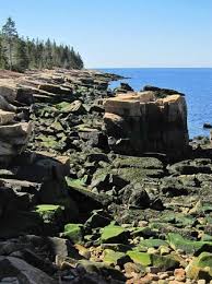 shoreline picture of schoodic peninsula bar harbor